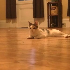 Meet your Posher, Jjennifer